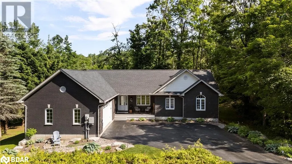29 NORDIC Trail