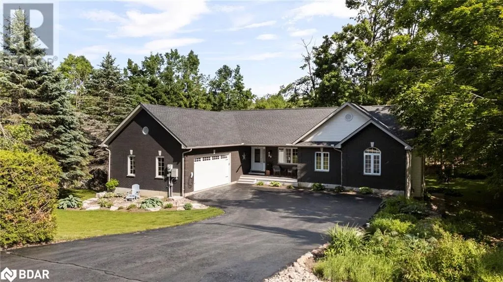 29 NORDIC Trail