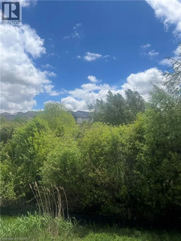 255 LADYSLIPPER Drive