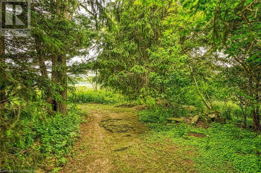 281 BIG CREEK Road