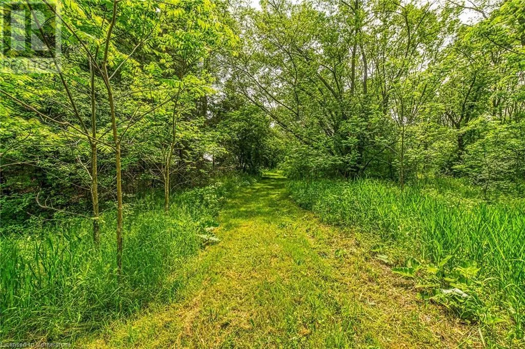 99 SAWMILL Road