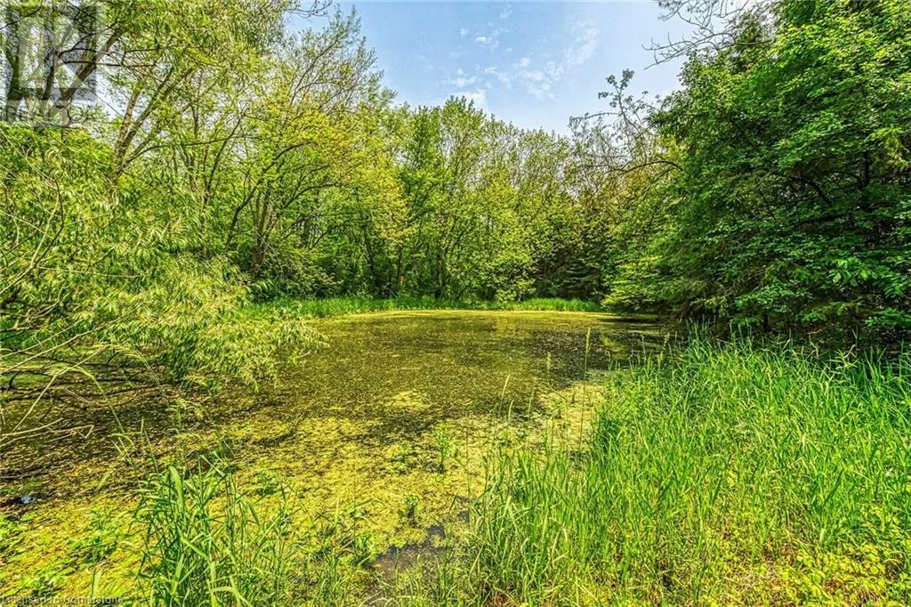 99 SAWMILL Road