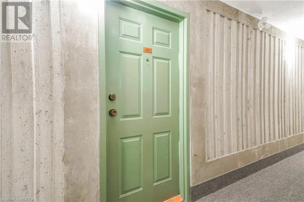 421 FAIRVIEW Drive Unit# 301, #301
