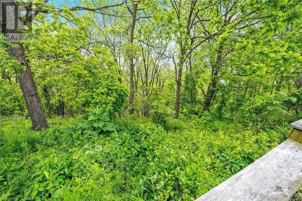 237 RIDGE TOP Crescent