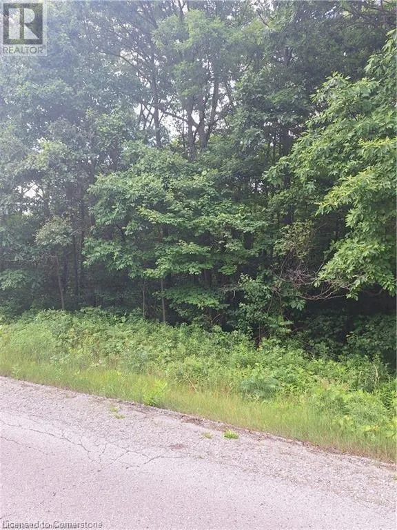 839 WINDHAM RD 12 Road