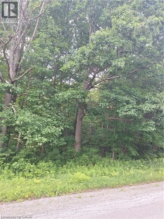 839 WINDHAM RD 12 Road