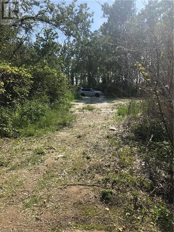 23 OLD CUT Boulevard