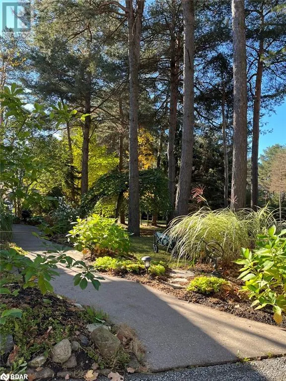 11 BUNKER Place