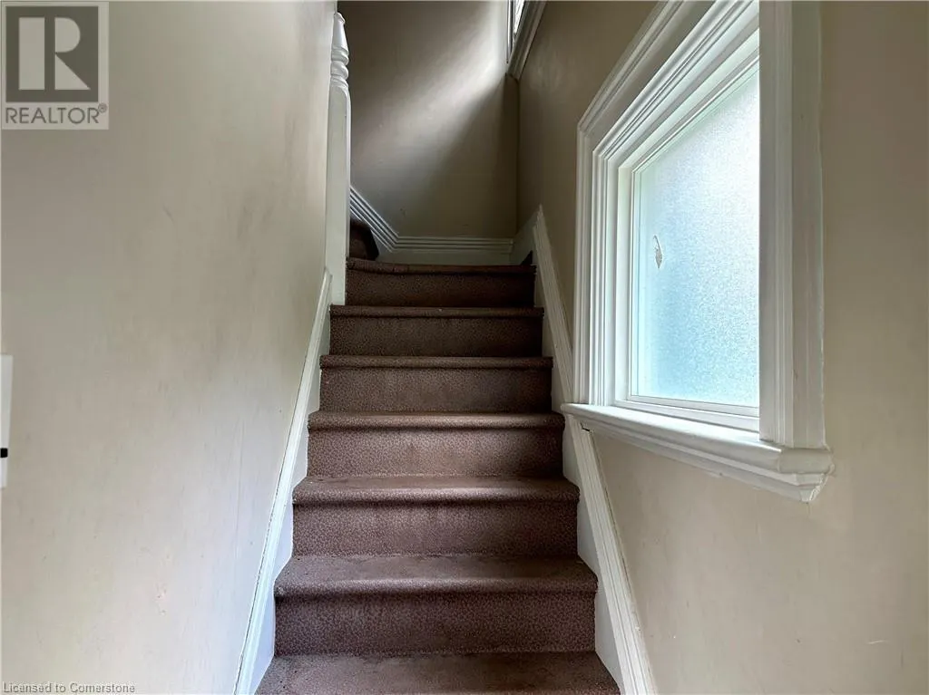 19 BRIGHTON Avenue