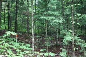 N/A QUARRY Road