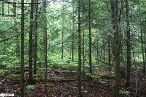 N/A QUARRY Road