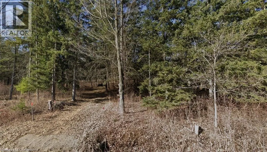 PT LT H SHELLARD Road