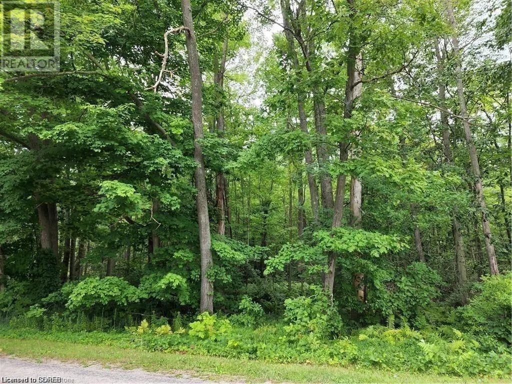 PT LOT 20 7 CONCESSION