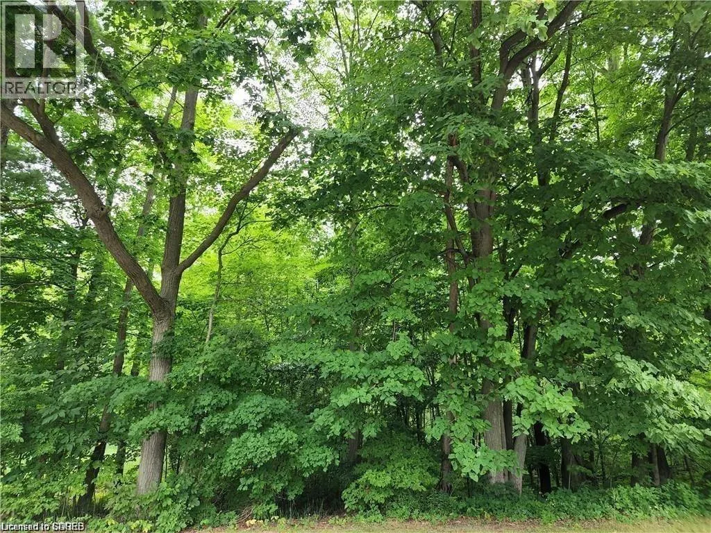 PT LOT 20 7 CONCESSION