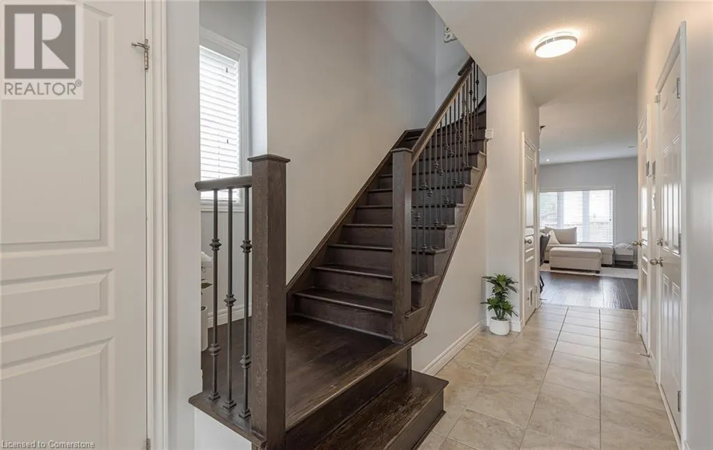 117 PAINTER Terrace