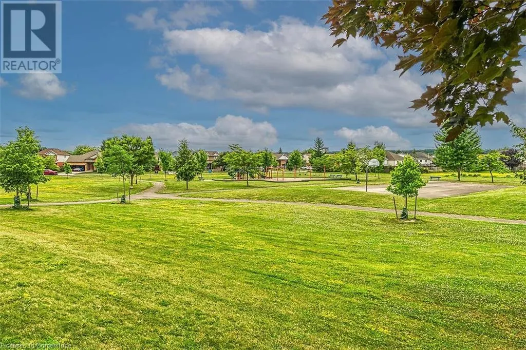6D BROWN Drive