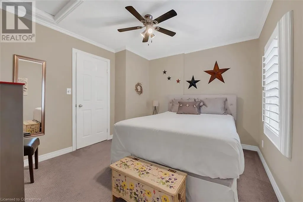 6D BROWN Drive