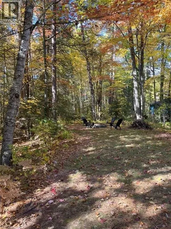 28 BIRCH Trail