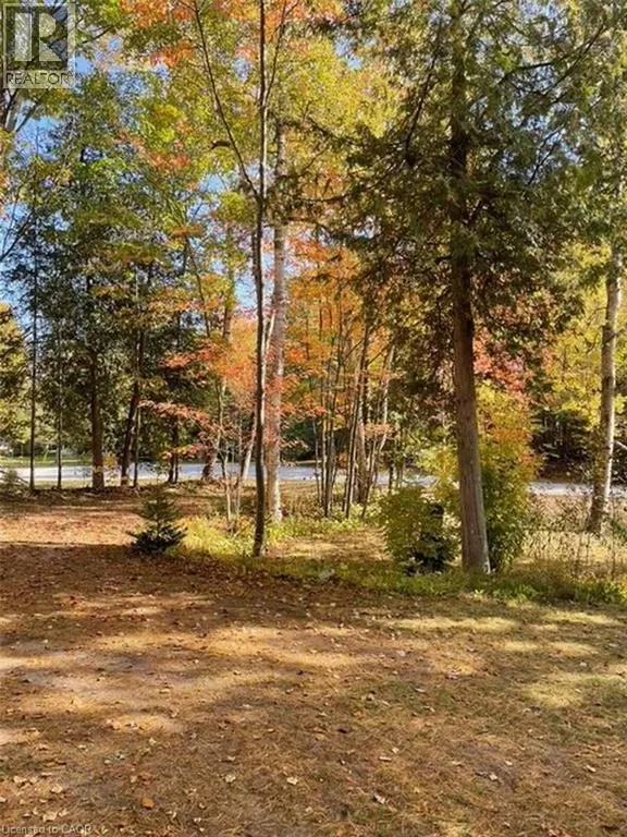 28 BIRCH Trail