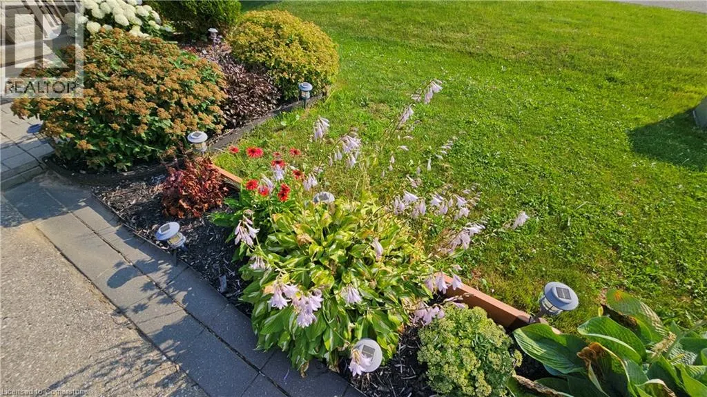 19 TRILLIUM WAY