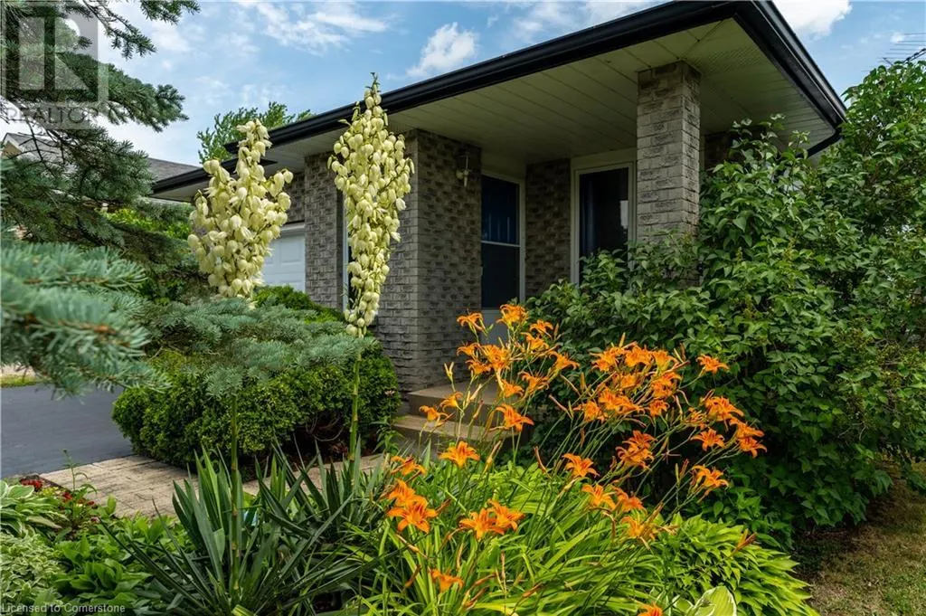 53 NORTHRIDGE Drive