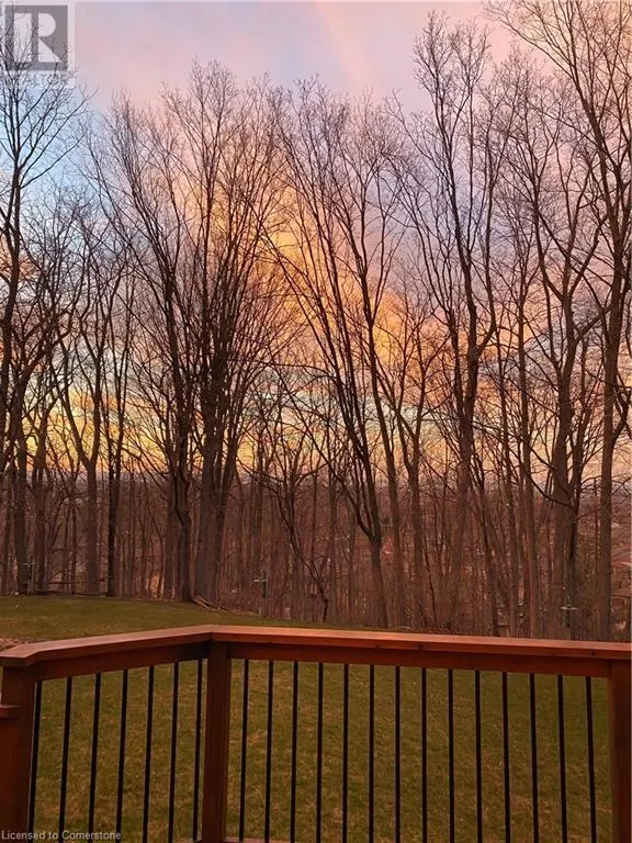 3 MAPLE Drive