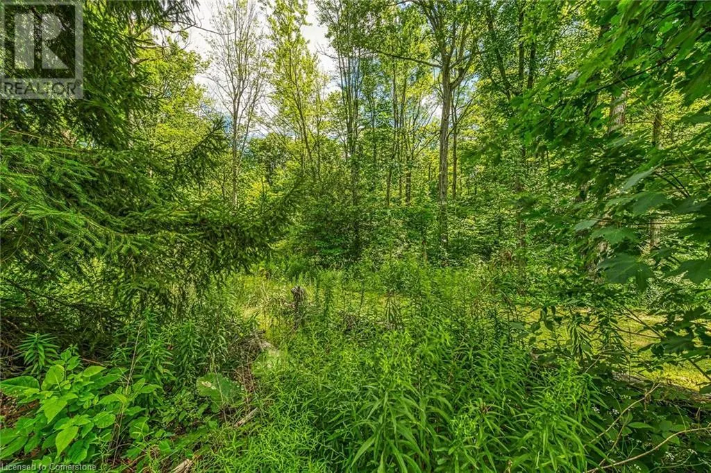 118 CONCESSION 1 Road