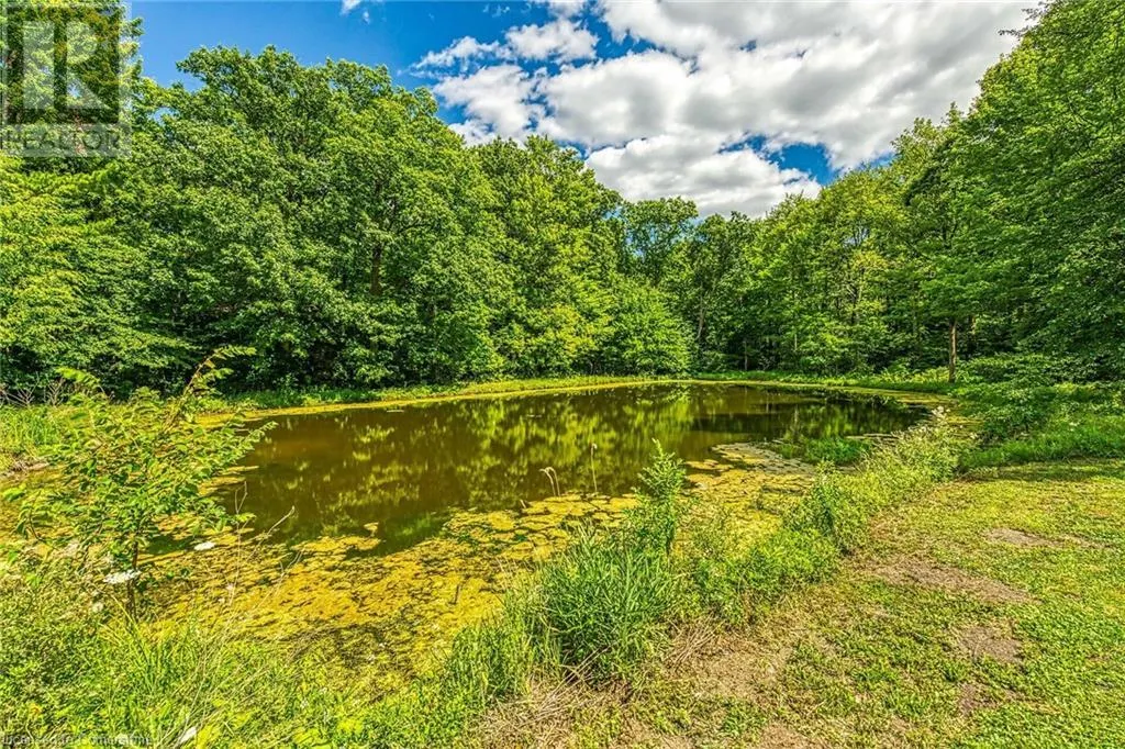 118 CONCESSION 1 Road