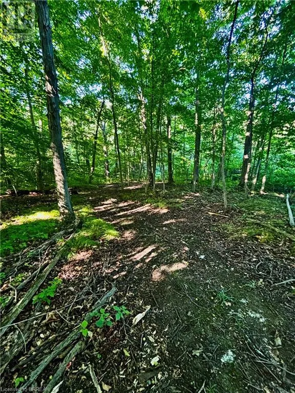 81 HOWELL Road