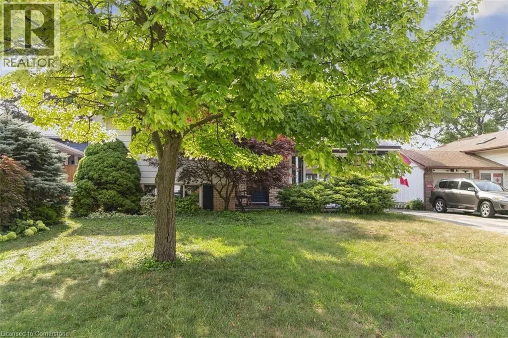635 BRIDLE Wood