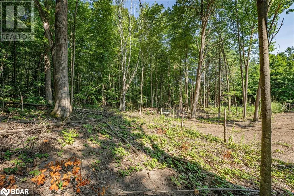 8294 COUNTY RD 27