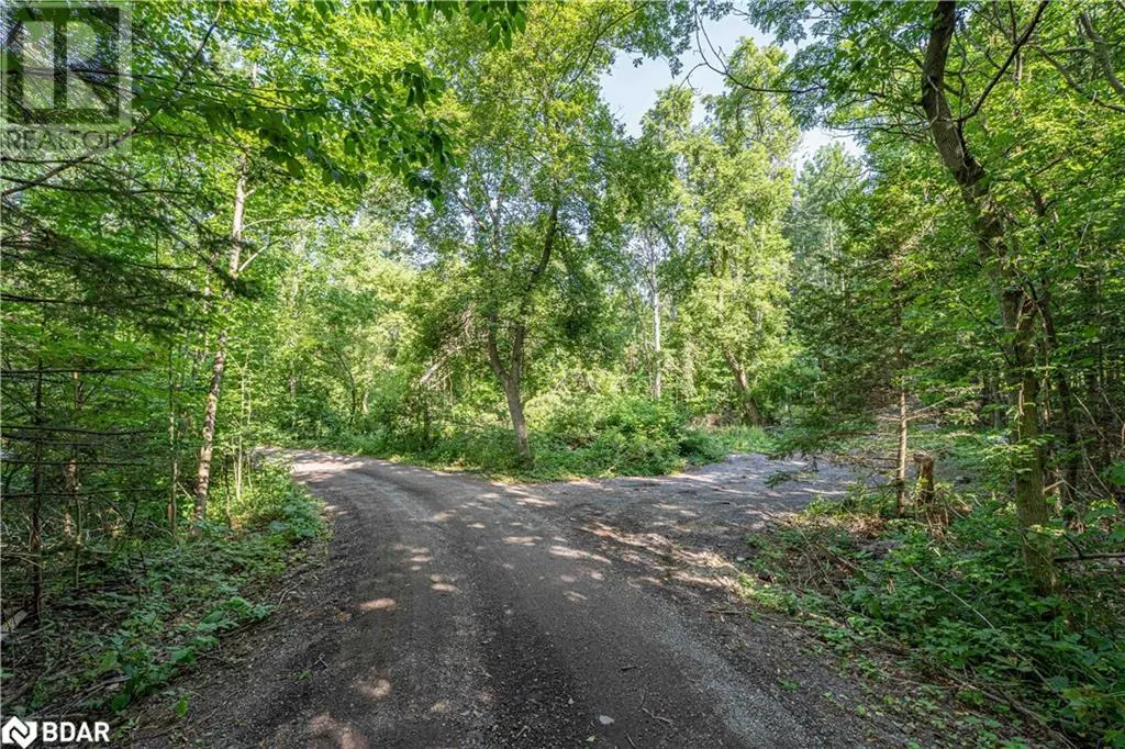 8294 COUNTY RD 27