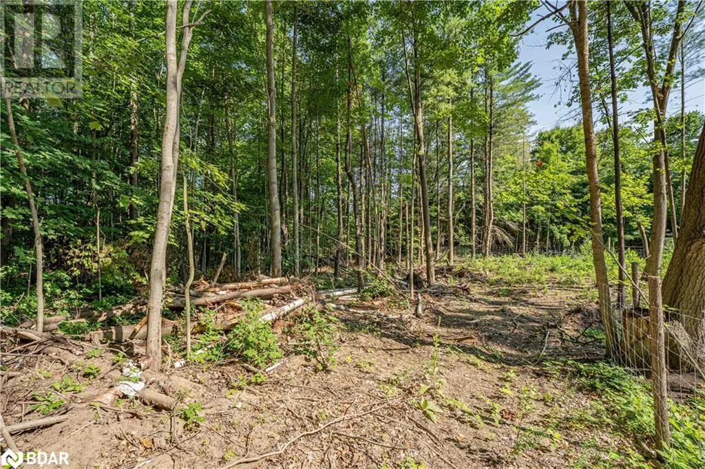 8294 COUNTY RD 27