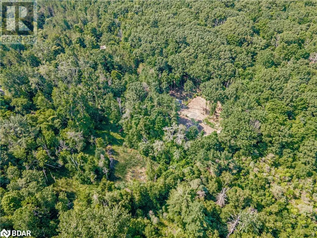 8294 COUNTY RD 27