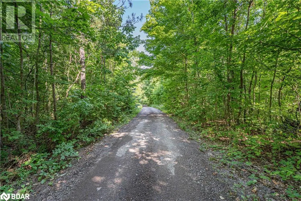 8294 COUNTY RD 27