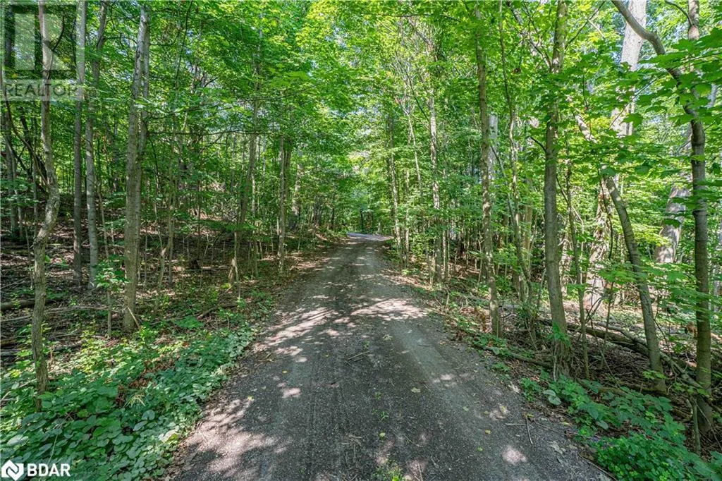8294 COUNTY RD 27