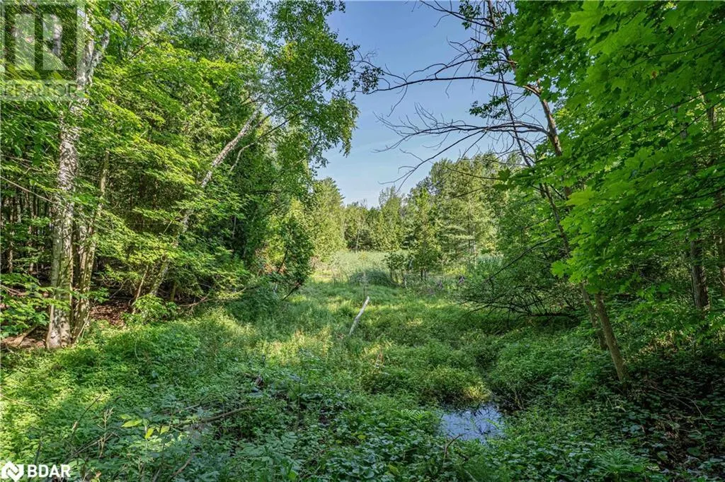 8294 COUNTY RD 27