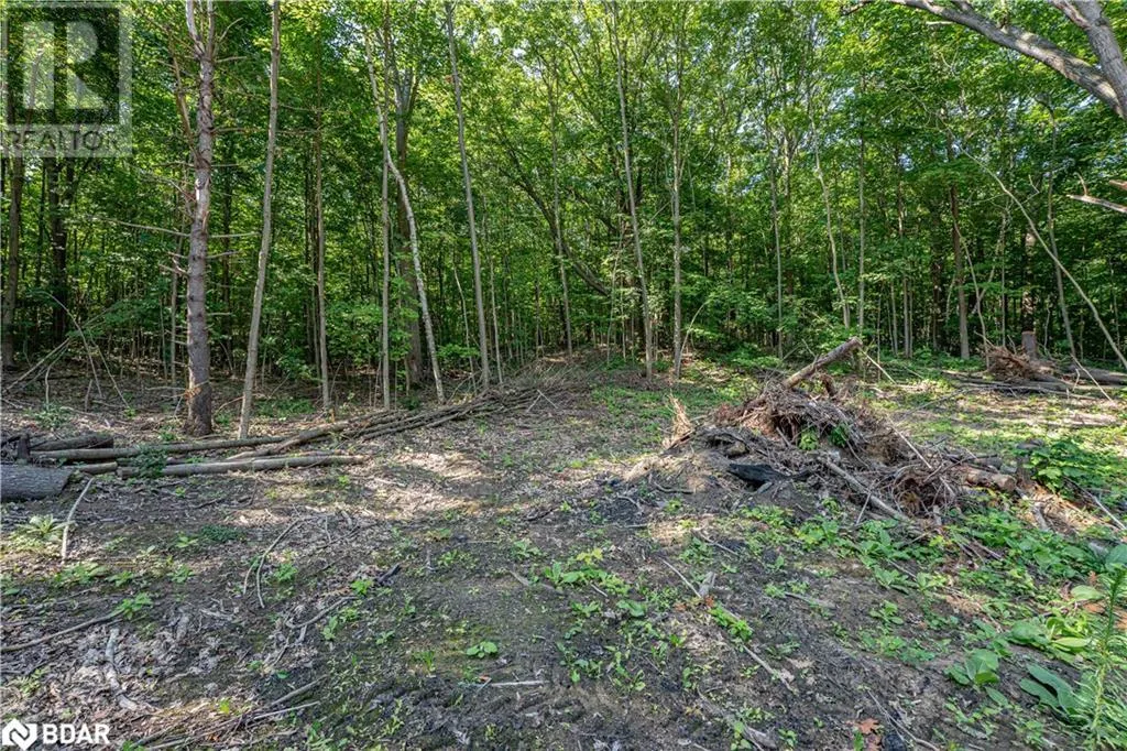 8294 COUNTY RD 27