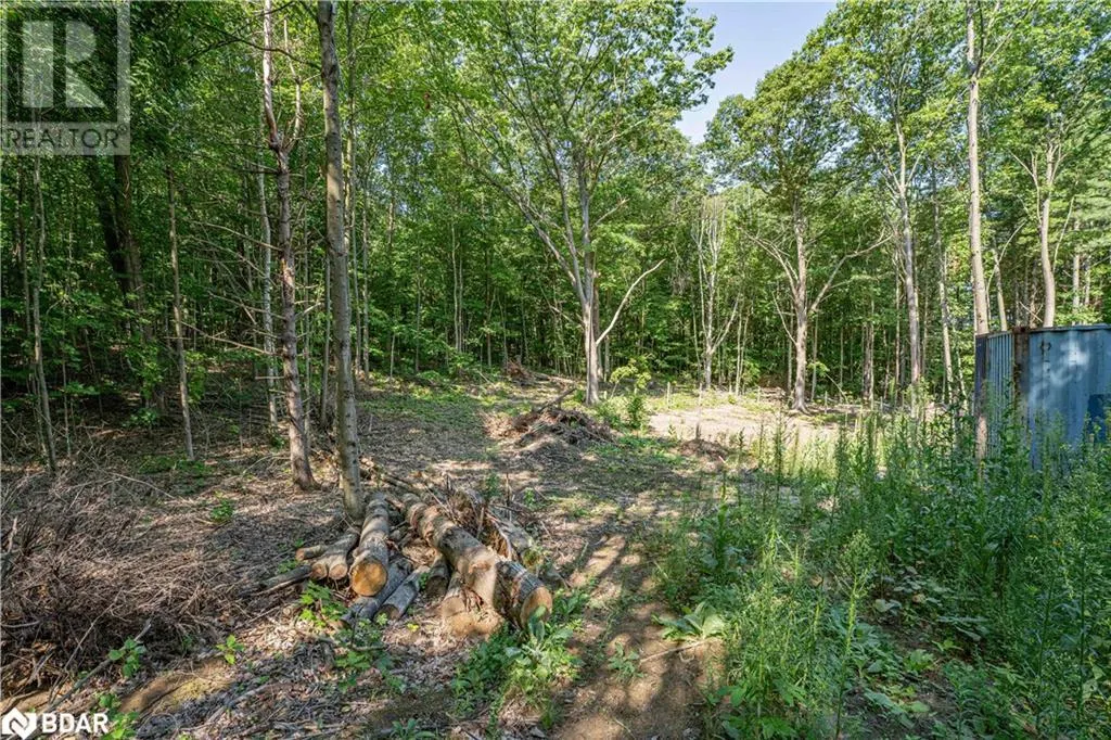 8294 COUNTY RD 27