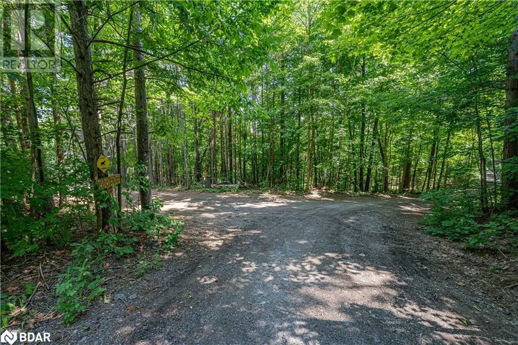 8294 COUNTY RD 27