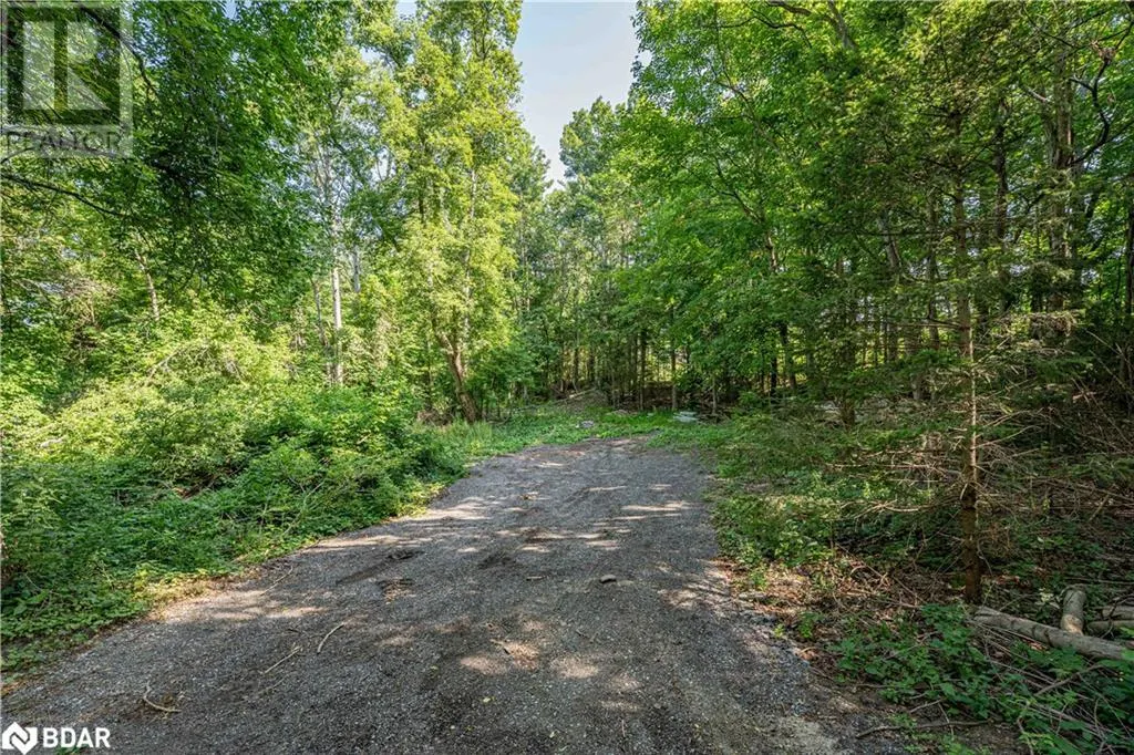 8294 COUNTY RD 27