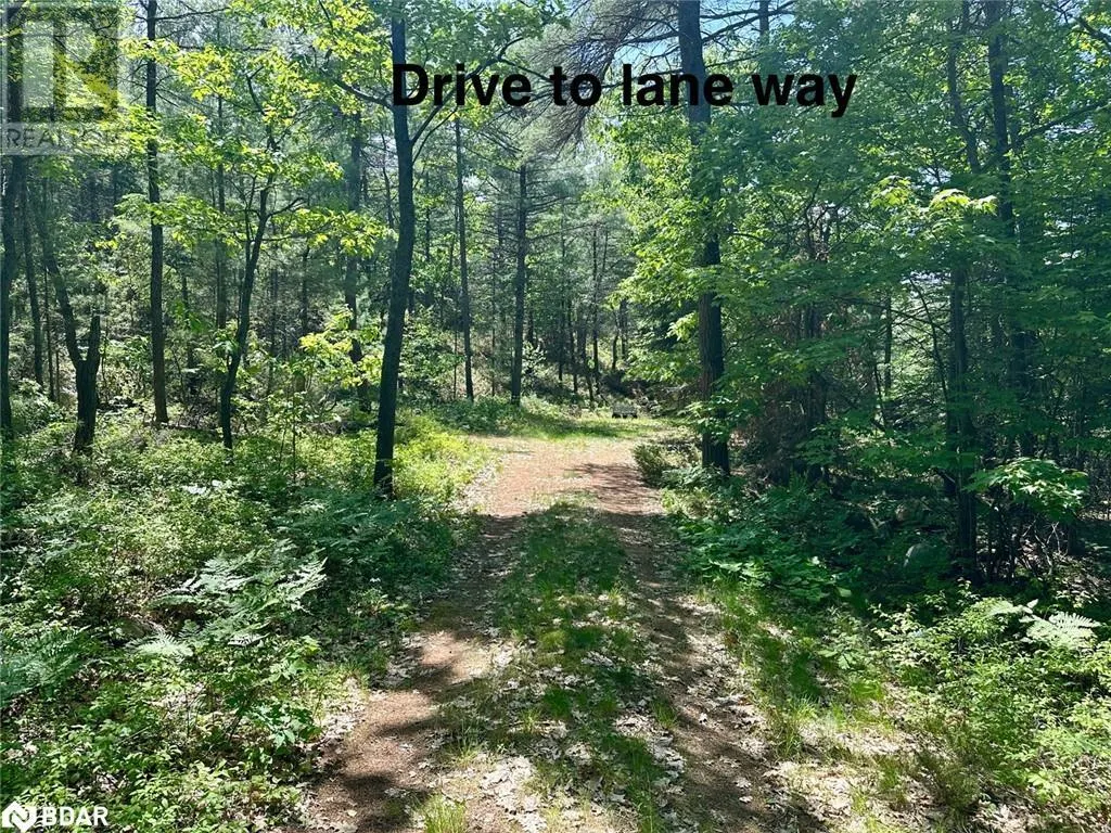 25 SHAWANAGA LANDING Road