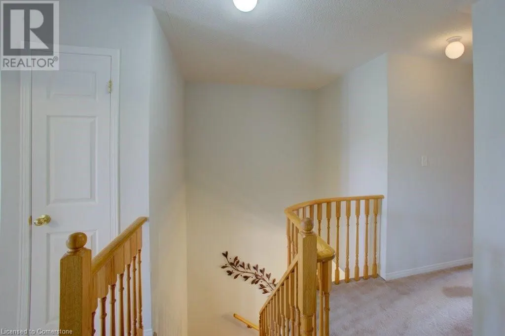 773 SHANKS Heights
