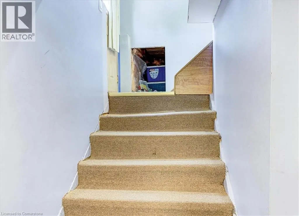 8 FRANCES Avenue