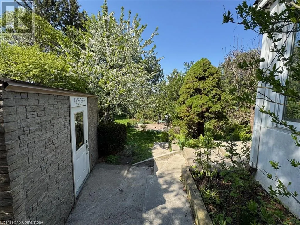 1005 DORMER Street