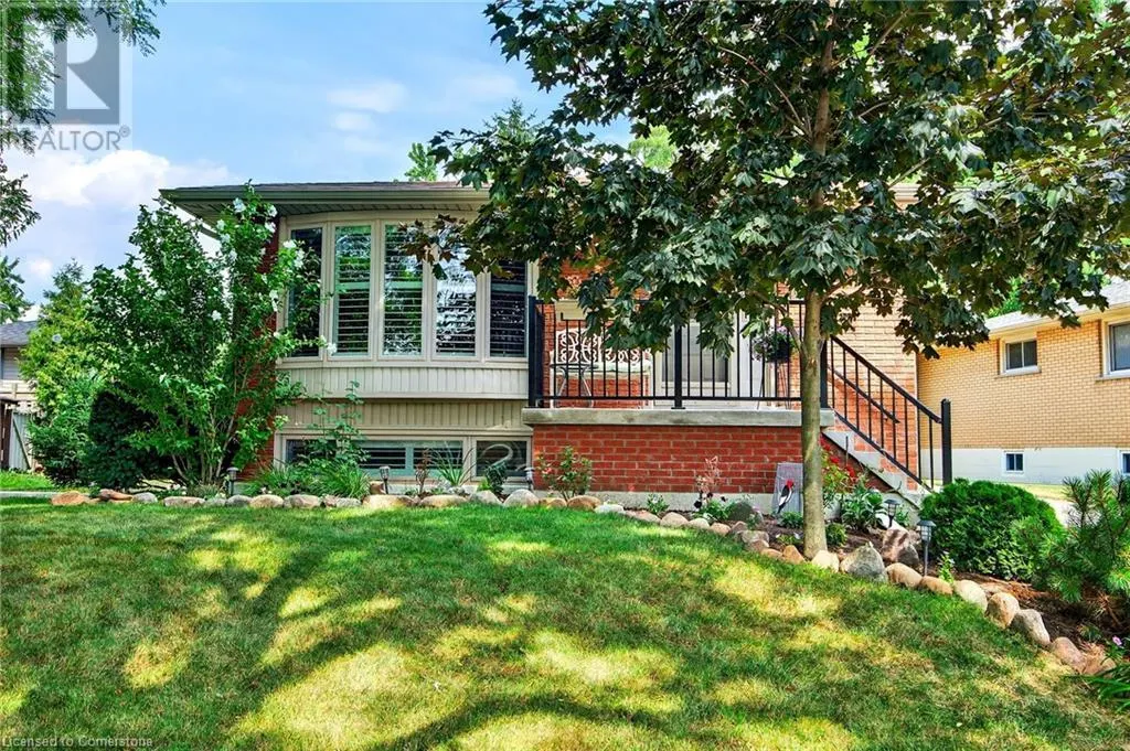 593 BRAEMORE Road