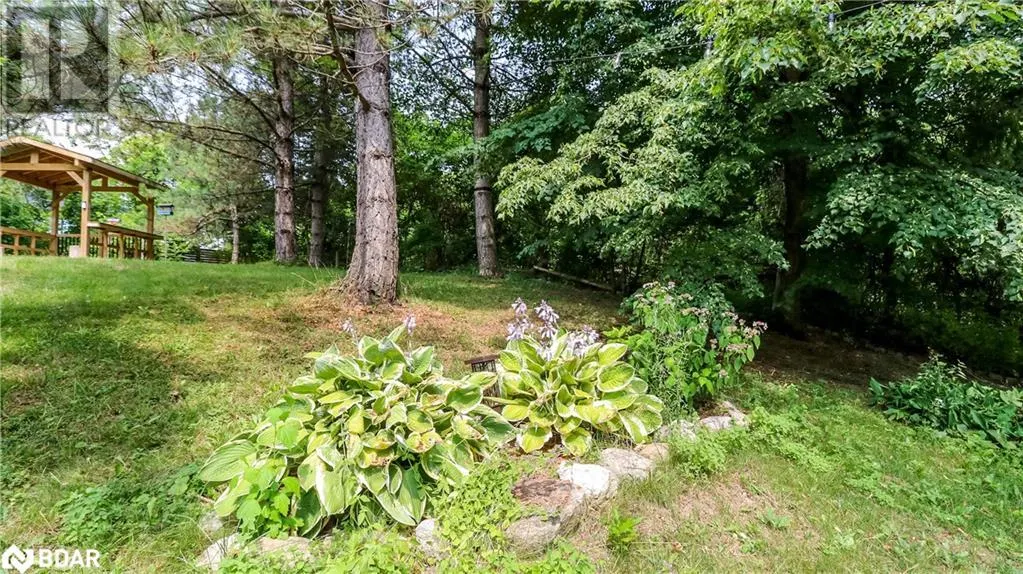 114 BIRCH VIEW TRAIL Trail