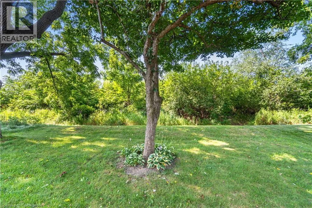 35 PANTANO Drive