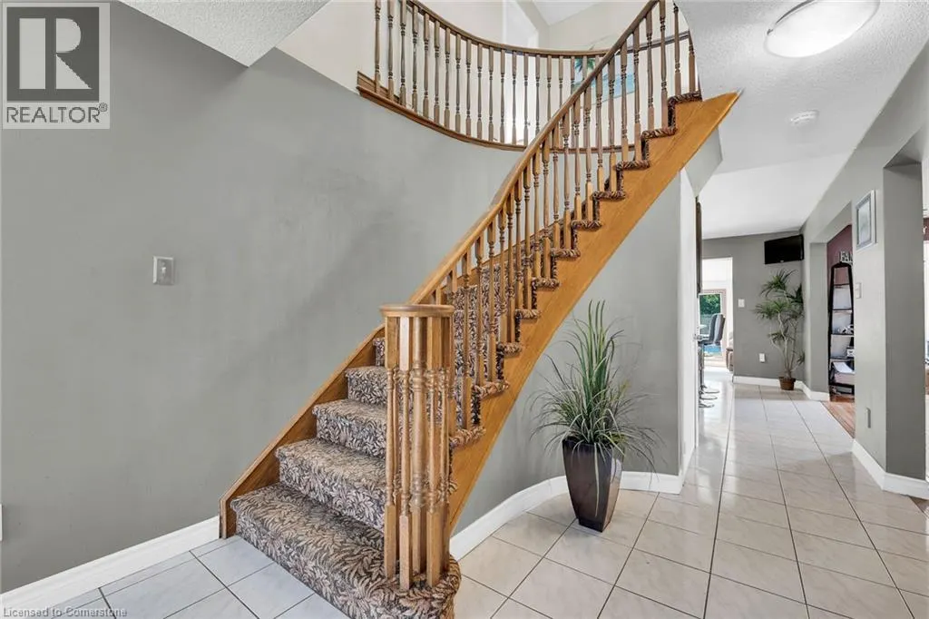 28 DOLMAN Street
