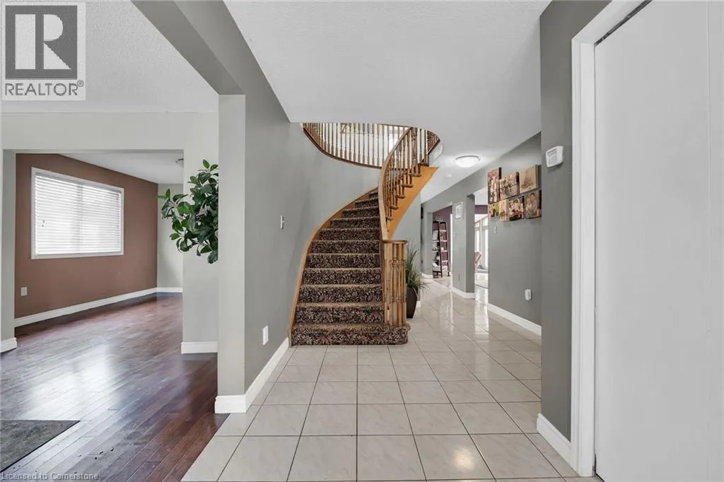 28 DOLMAN Street